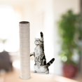 thumbnail image 2 of Maytalsory 1Pack Scratch Post Refill Pole Grinding Protect Sisal Claw Rope Nails cat Beige H 12.5CM Dia 7cm 1Set, 2 of 6