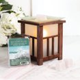 thumbnail image 4 of ScentSationals Scented Wax Cubes - Sea Shore Splash, 4 of 4