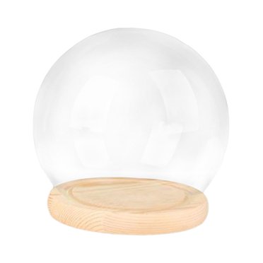 jifeng Display Dome with Base Micro Landscape Holder Container Ornament Cloche Bell Jar 15cm Wood Base