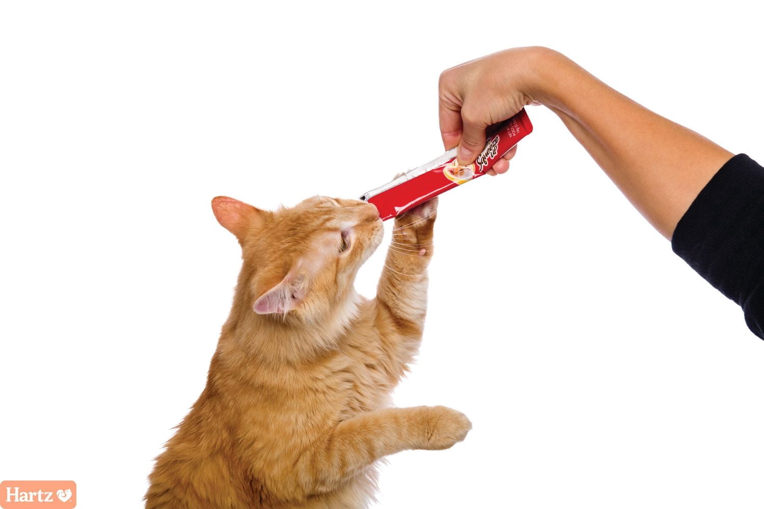 Delectables au Thon et au Saumon Squeeze Up™ Gâteries pour Chats Lot de 4