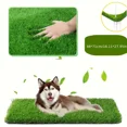 thumbnail image 4 of Ultimate Washable Dog Grass Mat - Reusable, Odor-Control Artificial Lawn for Pet Training, Easy-Clean Pee Pad Non-Slip Backing,green,46X58cm, 4 of 6