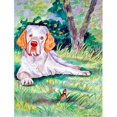 thumbnail image 1 of Clumber Spaniel Flag - Garden Size, 11 x 15 in., 1 of 1