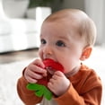 thumbnail image 2 of Dr. Brown's AquaCool Water-Filled Teether, 2 of 7