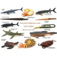 thumbnail image 3 of EASTIN 12pcs/Set Realistic Prehistoric Marine Life Toys  Multi-Color Simulation Nautilus  Trilobite  Cambrian Extinction Organism  Dunkleosteus  Ammonite Fossil Models  Educational Gift F, 3 of 7
