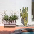 thumbnail image 4 of Veradek Demi Series Raised 30" Long Plastic-Stone Planter - (White/Brown, 1 Pack), 4 of 8