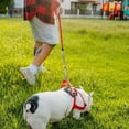 thumbnail image 2 of Laisse pour Chien Robuste de 8 m avec Attaches Pivotantes à Ressort, Chaîne de Coureur Durable pour Cour Extérieure et Camping, 2 of 4