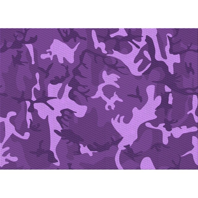 Ahgly Tapis Rectangulaire Lavable en Machine Intérieur Transitionnel Violet, 2 Pieds x 3 Pieds