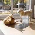 thumbnail image 4 of TopLLC Automatic Water Feeder For Food Dogs Water Dispenser For Drinking Water Flowing Non In Water Bottle, 4 of 5