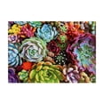 thumbnail image 3 of HUASHENG 1000 Pieces Puzzle Large Puzzle Family Game For Adult Kids Game, 3 of 8