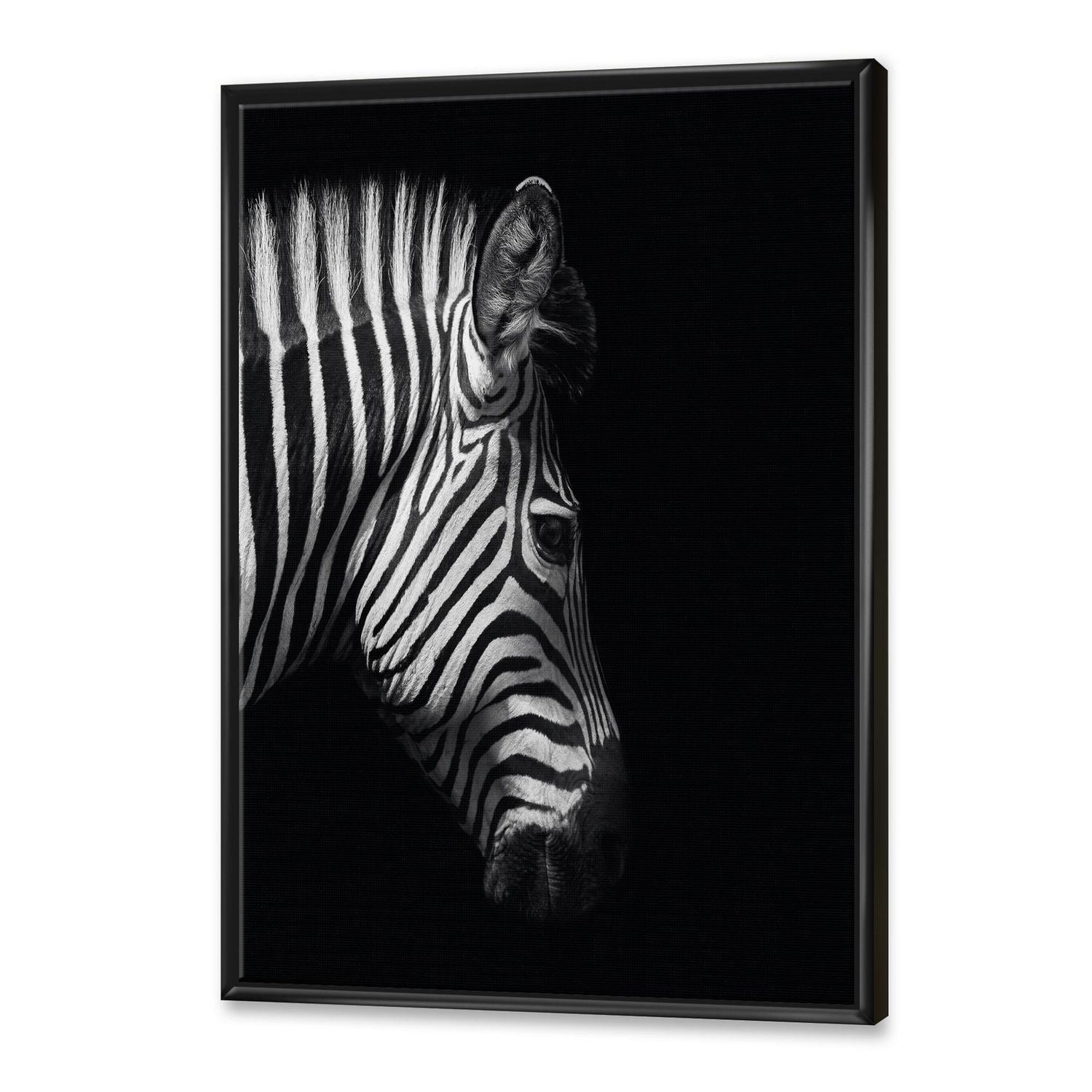 Designart Portrait monochrome de tête de zèbre ART MURAL À CADRE FLOTTÉ