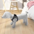 thumbnail image 3 of 1PC Dog Mannequin Standing Pose Model for hop Display Apparel Clothing White M, 3 of 7