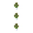 thumbnail image 1 of Ruiboury Add Touch Of Green To Living Space Artificial Plant Collection Home Decor Plastic Artificial Potted Plants False Plant Zhaocai Tree Fruit 3Set, 1 of 6