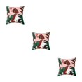 thumbnail image 2 of maskred Soft And Durable Throw Pillows Covers Are Easy To Clean And Fit Home Decoration W0134-9 3Set, 2 of 6