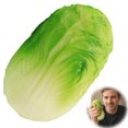 thumbnail image 2 of Squishy Squeeze Toys, Slow Rising Soft Stress Ball Fidget Toy,Cabbage Stress Ball Realistic Toy with Material Soft Slow-Rises Fidget for Anxiety Relief Uniques Sensory Gift for Adults And, 2 of 9