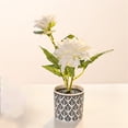 thumbnail image 2 of Two Small Bonsai Living Room Decoration Desk Desk Home Simulation Flower Decoration, 2 of 4