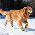 thumbnail image 3 of Chaussures de Protection Respirantes pour Chiens de Grande Race en Automne et Hiver, 3 of 6