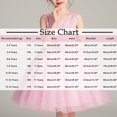 thumbnail image 3 of Ashirexll Robe de Fête Sans Manches pour Filles Jupe Tutu en Tulle Col Rond Ligne A Robe Formelle pour Animatrice Spectacle Occasion Spéciale Âge 2-14 Ans Rose 3 Ans, 3 of 3