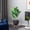 Green, variant on Sentmoon Faux Plants Indoor 30 Inch Simulation Plants Decorative Potted Plants Office Living Room Desktop Indoor Bonsais Ornaments Bionics Fake Flowers Greenerys Excluding Flower Pots