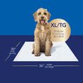 thumbnail image 2 of Scott Pet Guard Advanced Dog Pads - Dog Training Pee Pads for Puppies, Medium & Large Dogs - XL - 30" x 36" - 20 Pack, 2 of 4