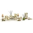 thumbnail image 4 of Thymes Frasier Fir Reed Diffuser Set – Includes Reeds, Fragrance Oil, and Frosted Glass Bottle – Fragrance Oil Diffuser – Room Fresheners – Luxury Home Decor – Green & Clear (Pine Needle, 7.75 fl oz), 4 of 8