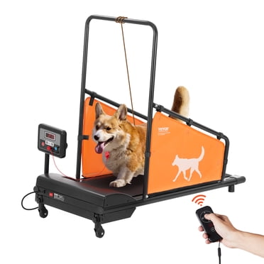 VEVOR Tapis Roulant pour Chiens de Taille Moyenne Tapis Roulant Électrique pour Animaux pour l'Entraînement d'Agilité