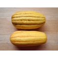 thumbnail image 2 of 50 DELICATA SQUASH Striped Sweet Potato Cucurbita Pepo Vegetable Seeds, 2 of 10