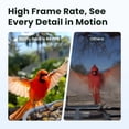 thumbnail image 3 of Birdfy Smart Bird Feeder with Camera, 60FPS Smooth Video, AI Bird Identification & Instant Alerts, Auto Capture, Perfect Gift for Bird Lovers, 3 of 7