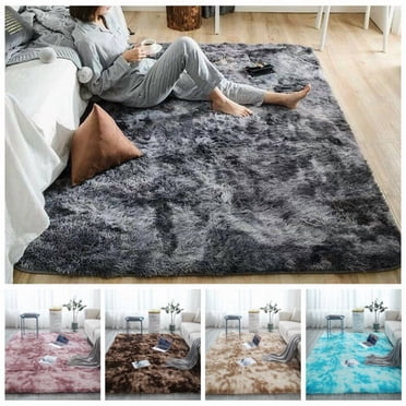 Tapis de Zone Antidérapants en Peluche Longue Super Douce à Dégradé, Tapis de Sol Décoratif pour Salon Chambre Salle de Jeux