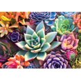 thumbnail image 3 of Buffalo Games - Large Pieces - Simple Succulents - 300 Piece Jigsaw Puzzle, 3 of 5