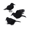 thumbnail image 1 of 3 Pcs Corbeaux d'Halloween Noirs Simulation Plume Corbeau Modèle Animal Corbeaux d'Halloween Style C, 1 of 9