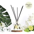 thumbnail image 3 of PRISTINE Himalayan Tea Reed Diffuser White Tea Scent/Reed Diffuser Oil Refill with 5 Cotton Reed Sticks Himalayan Tea | Scent Fragrance for Office, Bedroom,Living Room, or Bathroom, Home Décor, 1.6 Oz, 3 of 8