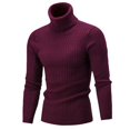 thumbnail image 1 of Chandail à Col Roulé pour Hommes chandail Tricoté Mode Urbaine, 1 of 4