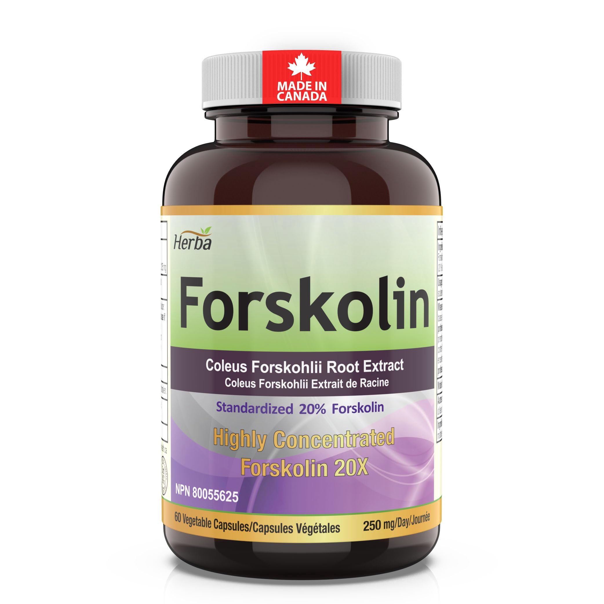 Herba Forskolin Extract Supplement – 60 Vegetable Capsules