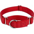 thumbnail image 1 of Country Brook Petz - Martingale Dog Collar - Heavy-Duty Training Collar with No Buckle - Service Dog Collar for All Pups - 10+ Warm Colors (Red, 1 Inch, Medium), 1 of 8
