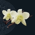 thumbnail image 3 of Our Finest Vanilla Greek Yogurt, 3 of 5