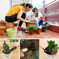 thumbnail image 3 of 9 Mini Garden Tool Hand Planting Tools Small Shovel Rake Spade Wood Handle Planting Tools, 3 of 7
