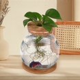 thumbnail image 5 of CHUANK Petit Bol à Poisson en Verre Betta Tank Terrarium Aquarium pour Table Basse Ou Bureau, 5 of 5