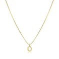 thumbnail image 1 of RXIRUCGD Ajoutez une Touche à Votre Style Quotidien avec Ce Collier Initial Collier Délicat Initial pour Femmes, 1 of 1