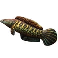 thumbnail image 1 of C-710 Green C Simulation Thunder Dragon Fish Plush Toy 80Cm Cotton Material Soft Doll For Bed Playtime Fun, 1 of 6