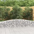 thumbnail image 1 of vidaXL Arched Gabion Baskets 20 pcs 400x50x40/60 cm Galvanised Iron, 1 of 4