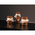 thumbnail image 2 of Metallic Spray Paint 11oz-Copper, 2 of 2