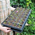 thumbnail image 3 of Disseminators for Seedling Tray Transplant Growth - -Cell Germination Platform for Efficient Propagation and Cultivation, 3 of 8