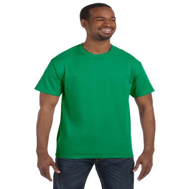 Hanes Men's Authentic-T T-Shirt