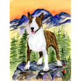 thumbnail image 1 of Carolines Treasures SS8167CHF Bull Terrier Flag Canvas - House Size, 1 of 4