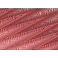 thumbnail image 1 of Ahgly Company Tapis Rectangulaire Lavable en Machine Intérieur Transitionnel Rouge Tomate, 2 Pieds x 3 Pieds, 1 of 7