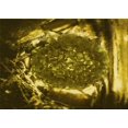 thumbnail image 1 of Ahgly Company Tapis Rectangulaire Lavable en Machine Intérieur Caramel Brun, 2 Pieds x 5 Pieds, 1 of 7