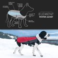thumbnail image 3 of EzyDog Element Best Dog Jacket - Premium Wind and Waterproof Reflective Dog Coat for Safety and Protection - Provides Leash Access to Harness or Collar (Scarlett Medium), 3 of 5