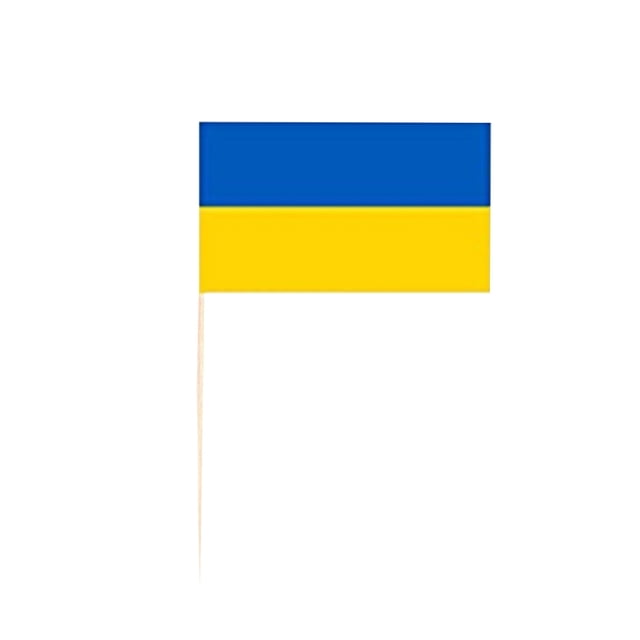 Yhmxh Kitchen Organizers and Storage 100PCS UK Ukraine Russia Toothpick Flag Fruit Pick Fruit Sign