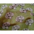 thumbnail image 4 of oneOone Silk Tabby Fabric Animal Face Block Fabric Prints By Yard 42 Inch Wide, 4 of 4