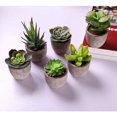 thumbnail image 2 of 6 Pieces Artificial Succulent Plants In Natural Potted Plants Small Artificial Plants Home Decor For Your Home, Office, 2 of 6